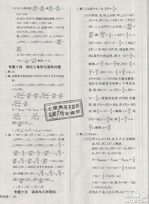 2020乐学课堂课时学讲练九年级化学下册人教版答案