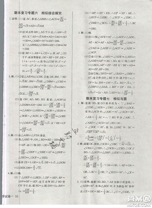 2020乐学课堂课时学讲练九年级化学下册人教版答案