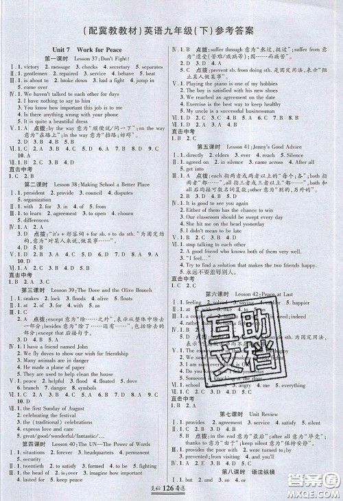 2020年见证奇迹英才学业设计与反馈九年级英语下册冀教版答案