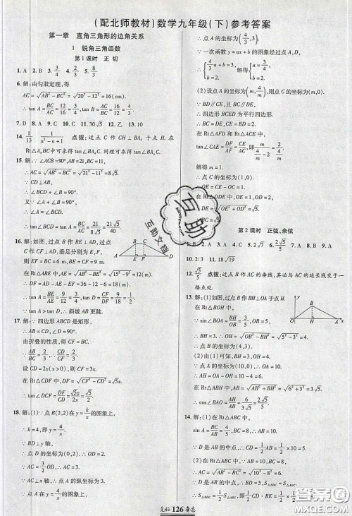 2020年见证奇迹英才学业设计与反馈九年级数学下册北师大版答案