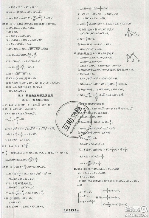 2020年见证奇迹英才学业设计与反馈九年级数学下册人教版答案