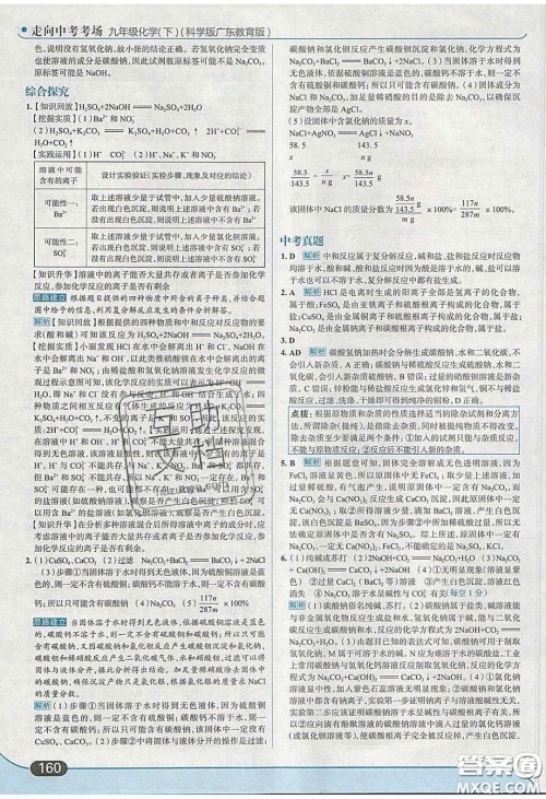 2020春走进中考考场九年级化学下册科粤版答案