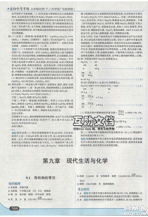 2020春走进中考考场九年级化学下册科粤版答案