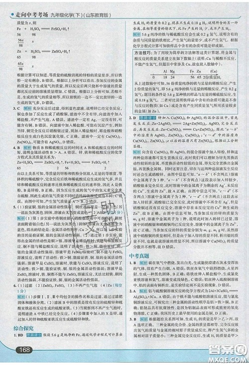 2020春走进中考考场九年级下册化学鲁教版答案