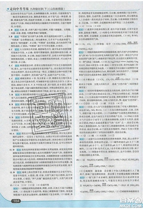 2020春走进中考考场九年级下册化学鲁教版答案