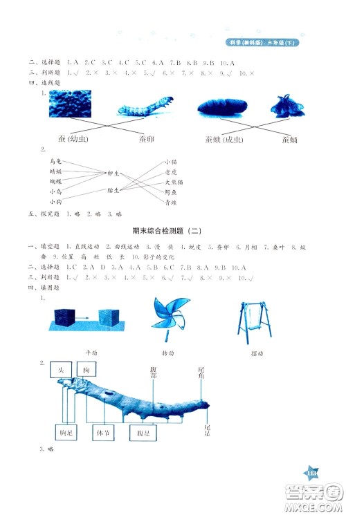 湖南教育出版社2020年学法大视野科学三年级下册教科版参考答案