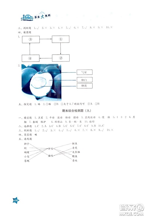 湖南教育出版社2020年学法大视野科学三年级下册教科版参考答案