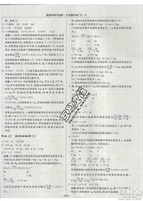 龙门书局2020新版启东中学作业本九年级化学下册沪教版答案