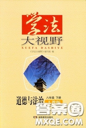 湖南教育出版社2020年学法大视野道德与法治八年级下册人教版参考答案 湖南教育出版社2020年学法大视野道德与法治八年级下册人教版参考答案