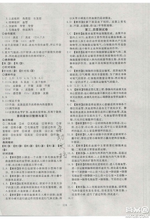 2020年351高效课堂导学案七年级生物下册济南版答案