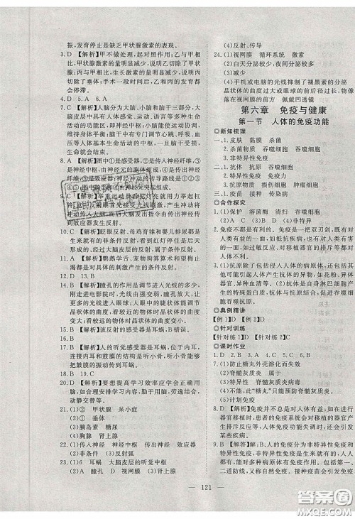 2020年351高效课堂导学案七年级生物下册济南版答案 2020年351高效课堂导学案七年级生物下册济南版答案