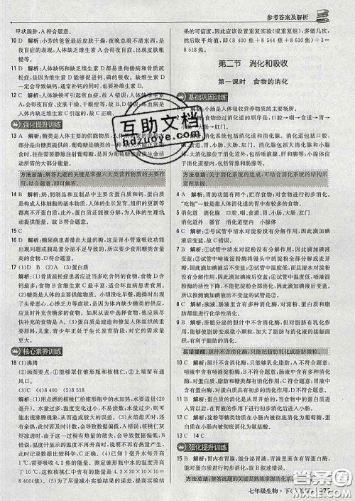 2020新版1加1轻巧夺冠优化训练七年级生物下册人教版答案 2020新版1加1轻巧夺冠优化训练七年级生物下册人教版答案