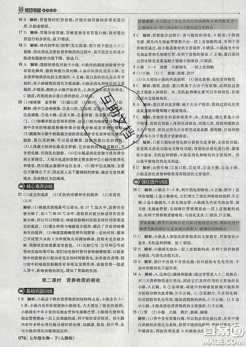 2020新版1加1轻巧夺冠优化训练七年级生物下册人教版答案 2020新版1加1轻巧夺冠优化训练七年级生物下册人教版答案