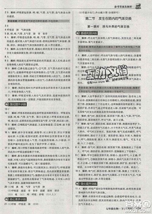 2020新版1加1轻巧夺冠优化训练七年级生物下册人教版答案 2020新版1加1轻巧夺冠优化训练七年级生物下册人教版答案