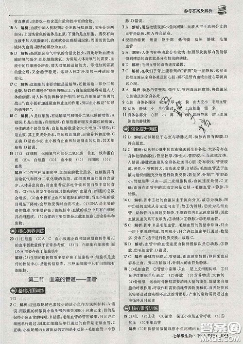 2020新版1加1轻巧夺冠优化训练七年级生物下册人教版答案 2020新版1加1轻巧夺冠优化训练七年级生物下册人教版答案