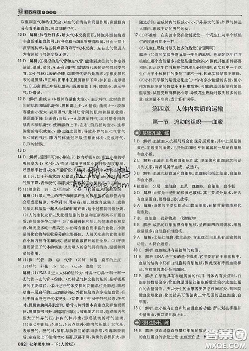 2020新版1加1轻巧夺冠优化训练七年级生物下册人教版答案 2020新版1加1轻巧夺冠优化训练七年级生物下册人教版答案