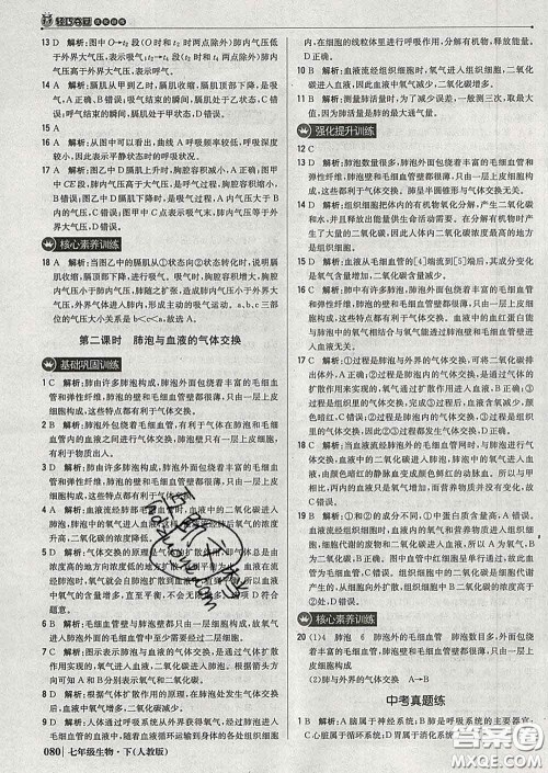 2020新版1加1轻巧夺冠优化训练七年级生物下册人教版答案 2020新版1加1轻巧夺冠优化训练七年级生物下册人教版答案