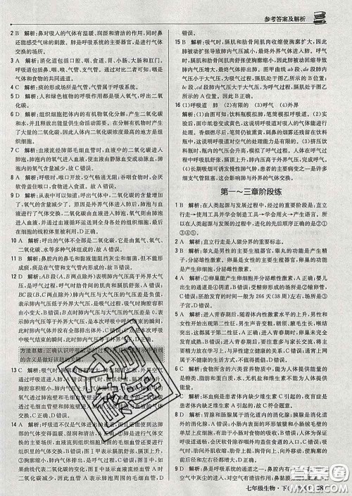 2020新版1加1轻巧夺冠优化训练七年级生物下册人教版答案 2020新版1加1轻巧夺冠优化训练七年级生物下册人教版答案