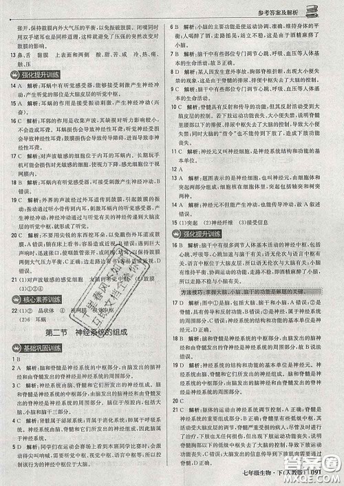 2020新版1加1轻巧夺冠优化训练七年级生物下册人教版答案 2020新版1加1轻巧夺冠优化训练七年级生物下册人教版答案