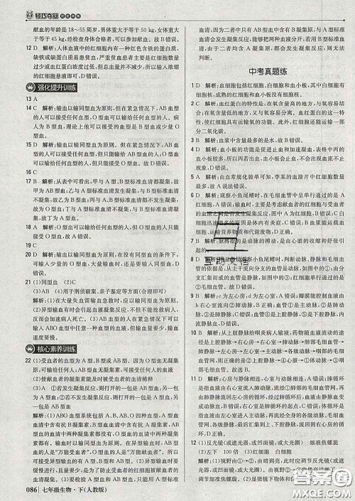 2020新版1加1轻巧夺冠优化训练七年级生物下册人教版答案 2020新版1加1轻巧夺冠优化训练七年级生物下册人教版答案