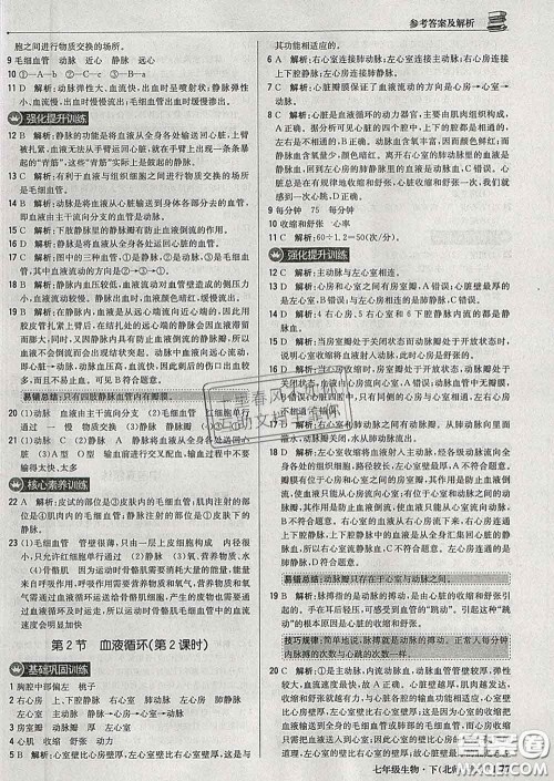 2020新版1加1轻巧夺冠优化训练七年级生物下册北师版答案