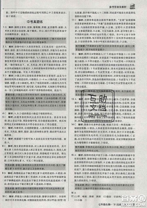 2020新版1加1轻巧夺冠优化训练七年级生物下册北师版答案 2020新版1加1轻巧夺冠优化训练七年级生物下册北师版答案