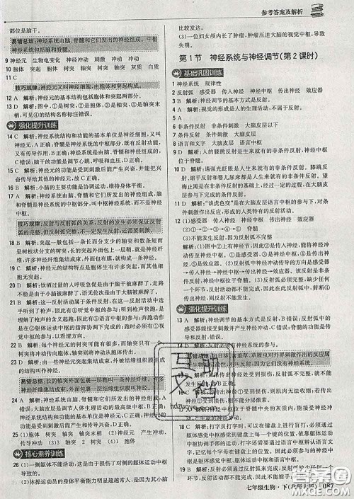 2020新版1加1轻巧夺冠优化训练七年级生物下册北师版答案 2020新版1加1轻巧夺冠优化训练七年级生物下册北师版答案