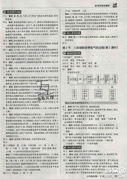 2020新版1加1轻巧夺冠优化训练七年级生物下册北师版答案