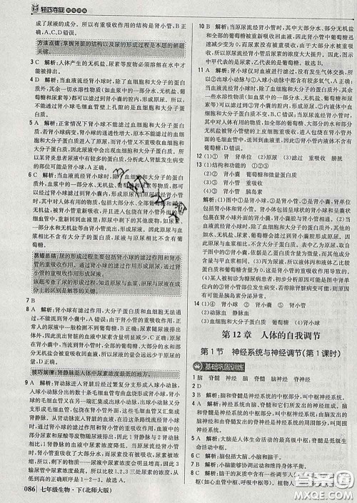 2020新版1加1轻巧夺冠优化训练七年级生物下册北师版答案 2020新版1加1轻巧夺冠优化训练七年级生物下册北师版答案