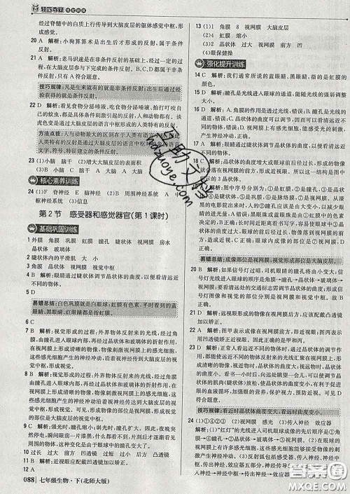 2020新版1加1轻巧夺冠优化训练七年级生物下册北师版答案 2020新版1加1轻巧夺冠优化训练七年级生物下册北师版答案