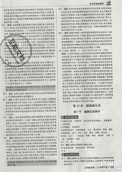 2020新版1加1轻巧夺冠优化训练七年级生物下册北师版答案 2020新版1加1轻巧夺冠优化训练七年级生物下册北师版答案