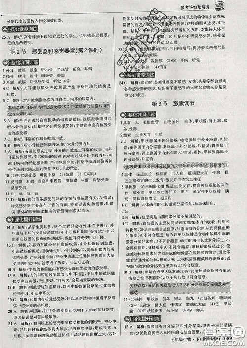 2020新版1加1轻巧夺冠优化训练七年级生物下册北师版答案 2020新版1加1轻巧夺冠优化训练七年级生物下册北师版答案