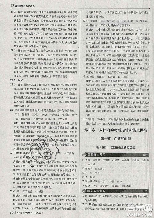 2020新版1加1轻巧夺冠优化训练七年级生物下册江苏版答案 2020新版1加1轻巧夺冠优化训练七年级生物下册江苏版答案