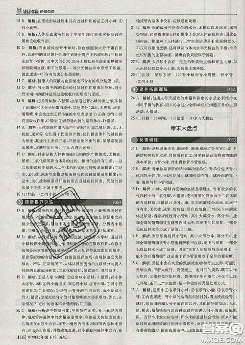 2020新版1加1轻巧夺冠优化训练七年级生物下册江苏版答案 2020新版1加1轻巧夺冠优化训练七年级生物下册江苏版答案