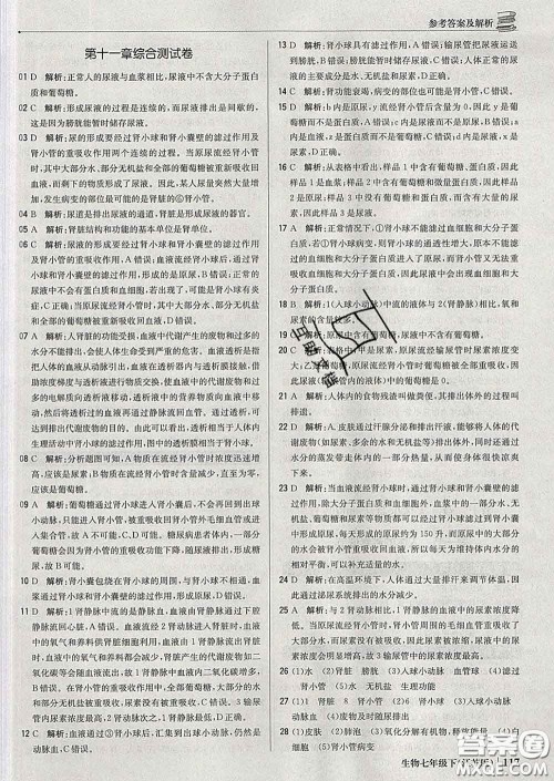 2020新版1加1轻巧夺冠优化训练七年级生物下册江苏版答案 2020新版1加1轻巧夺冠优化训练七年级生物下册江苏版答案
