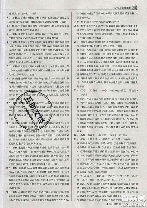 2020新版1加1轻巧夺冠优化训练七年级生物下册江苏版答案 2020新版1加1轻巧夺冠优化训练七年级生物下册江苏版答案