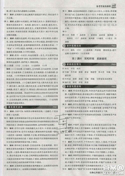 2020新版1加1轻巧夺冠优化训练七年级生物下册江苏版答案 2020新版1加1轻巧夺冠优化训练七年级生物下册江苏版答案