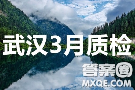武汉市2020届3月高中毕业班学习质量检测文科数学试题及答案