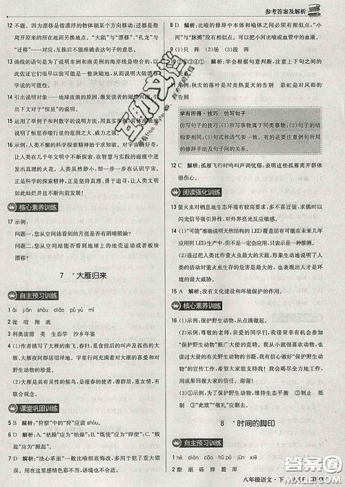 2020新版1加1轻巧夺冠优化训练八年级语文下册人教版答案