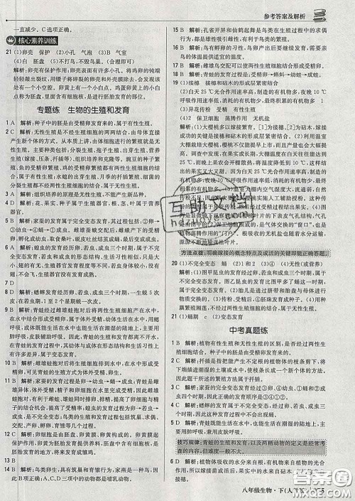 2020新版1加1轻巧夺冠优化训练八年级生物下册人教版答案 2020新版1加1轻巧夺冠优化训练八年级生物下册人教版答案