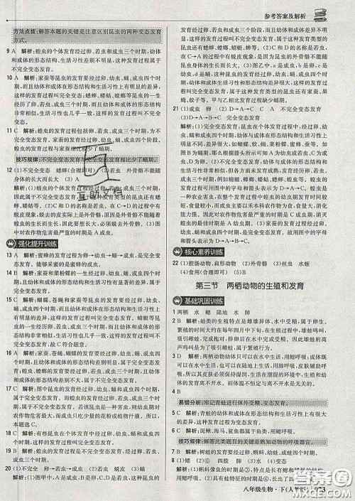 2020新版1加1轻巧夺冠优化训练八年级生物下册人教版答案 2020新版1加1轻巧夺冠优化训练八年级生物下册人教版答案