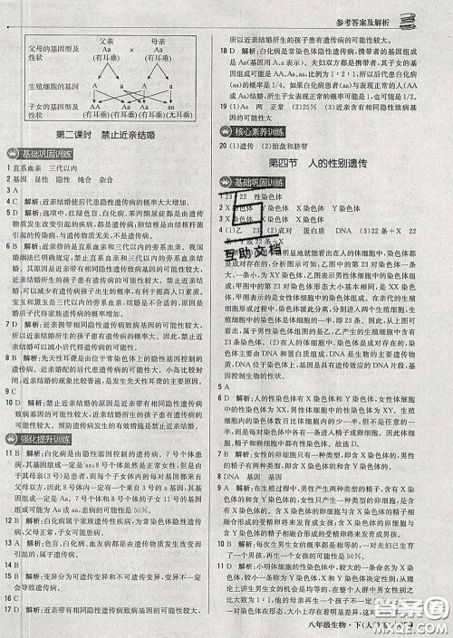 2020新版1加1轻巧夺冠优化训练八年级生物下册人教版答案 2020新版1加1轻巧夺冠优化训练八年级生物下册人教版答案