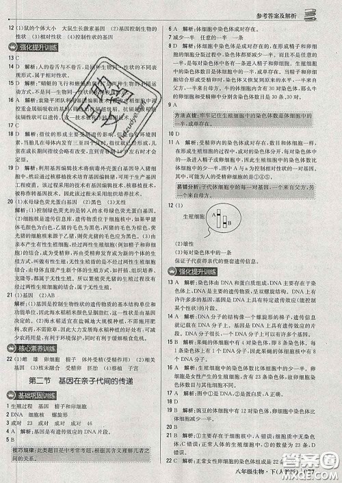 2020新版1加1轻巧夺冠优化训练八年级生物下册人教版答案 2020新版1加1轻巧夺冠优化训练八年级生物下册人教版答案