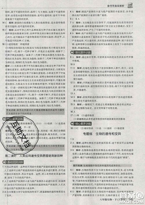 2020新版1加1轻巧夺冠优化训练八年级生物下册人教版答案 2020新版1加1轻巧夺冠优化训练八年级生物下册人教版答案