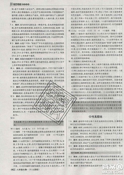 2020新版1加1轻巧夺冠优化训练八年级生物下册人教版答案 2020新版1加1轻巧夺冠优化训练八年级生物下册人教版答案