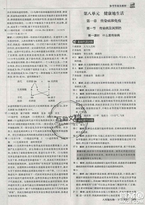 2020新版1加1轻巧夺冠优化训练八年级生物下册人教版答案