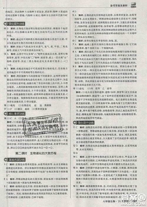 2020新版1加1轻巧夺冠优化训练八年级生物下册人教版答案 2020新版1加1轻巧夺冠优化训练八年级生物下册人教版答案