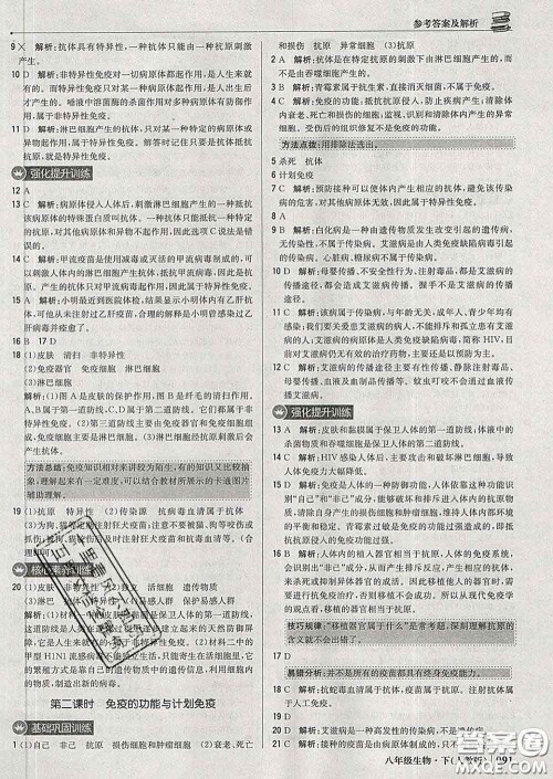 2020新版1加1轻巧夺冠优化训练八年级生物下册人教版答案 2020新版1加1轻巧夺冠优化训练八年级生物下册人教版答案