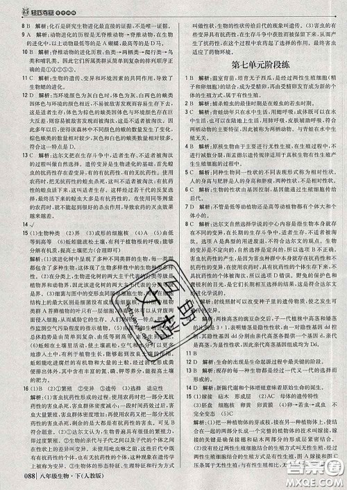 2020新版1加1轻巧夺冠优化训练八年级生物下册人教版答案 2020新版1加1轻巧夺冠优化训练八年级生物下册人教版答案