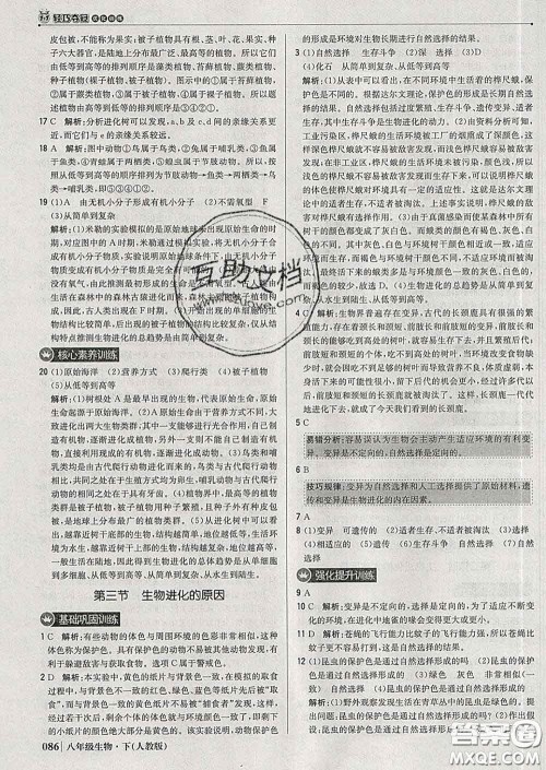 2020新版1加1轻巧夺冠优化训练八年级生物下册人教版答案 2020新版1加1轻巧夺冠优化训练八年级生物下册人教版答案